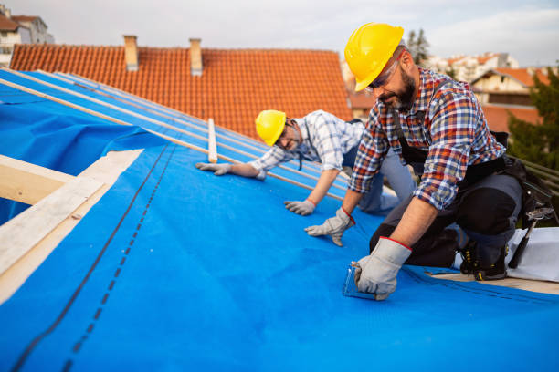Best Roof Gutter Cleaning  in Leonardo, NJ