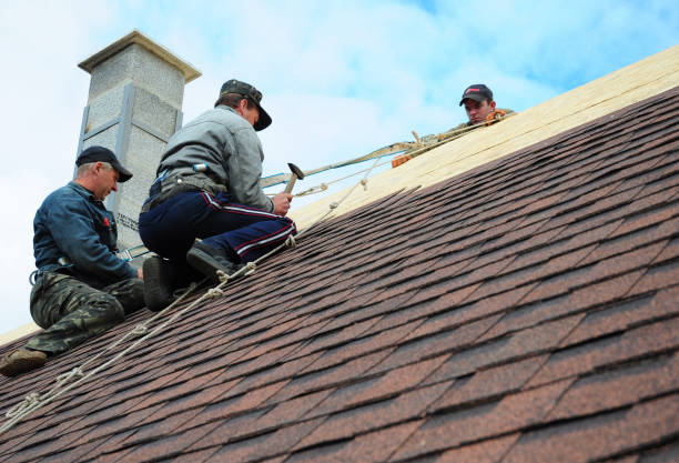 Best Flat Roof Repair Services  in Leonardo, NJ